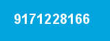 9171228166