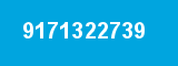 9171322739