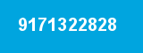 9171322828