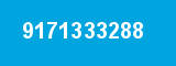 9171333288 9171333288