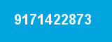 9171422873
