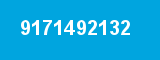 9171492132
