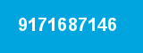 9171687146