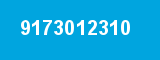 9173012310