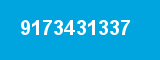 9173431337 9173431337