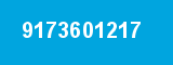 9173601217