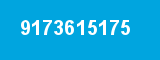 9173615175