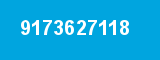 9173627118