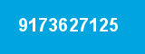 9173627125
