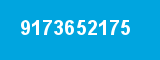 9173652175