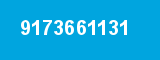 9173661131
