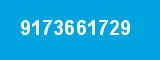 9173661729