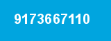 9173667110