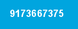 9173667375