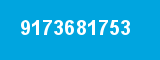 9173681753