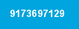 9173697129