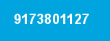 9173801127
