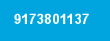 9173801137 9173801137