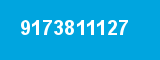 9173811127