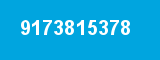 9173815378