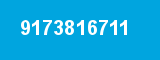 9173816711