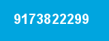 9173822299