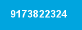 9173822324