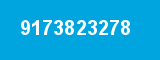 9173823278