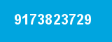 9173823729