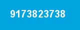 9173823738