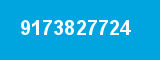 9173827724
