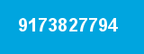 9173827794