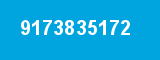 9173835172