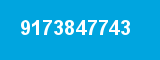 9173847743