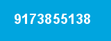 9173855138