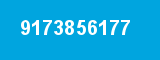 9173856177
