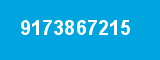 9173867215