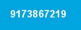 9173867219