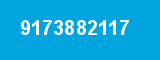 9173882117