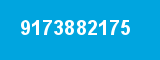 9173882175