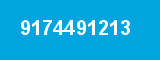 9174491213