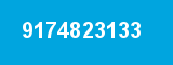 9174823133