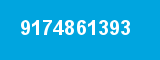 9174861393