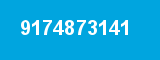 9174873141