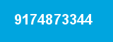 9174873344