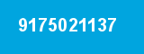 9175021137