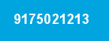 9175021213 9175021213