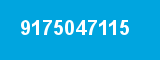 9175047115