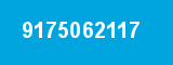 9175062117