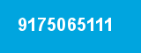 9175065111